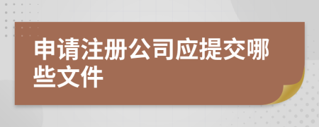 申請注冊公司應(yīng)提交哪些文件