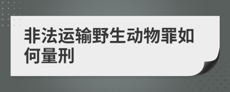 非法運(yùn)輸野生動物罪如何量刑