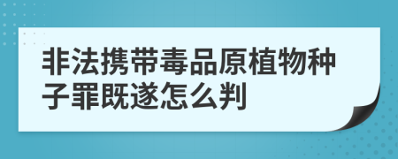 非法攜帶毒品原植物種子罪既遂怎么判