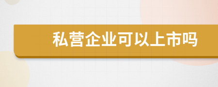 私營企業(yè)可以上市嗎