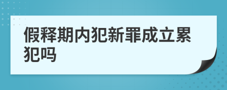 假釋期內(nèi)犯新罪成立累犯嗎