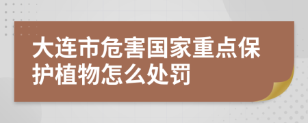 大連市危害國家重點保護植物怎么處罰