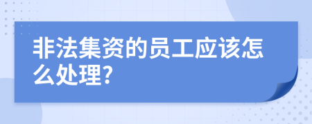 非法集資的員工應(yīng)該怎么處理?