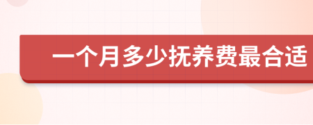 一個月多少撫養(yǎng)費(fèi)最合適