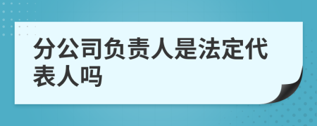 分公司負(fù)責(zé)人是法定代表人嗎
