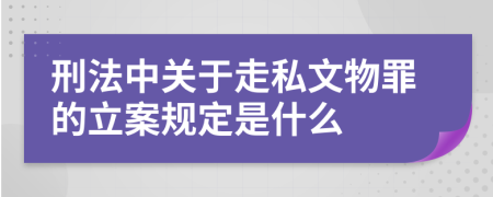 刑法中關(guān)于走私文物罪的立案規(guī)定是什么