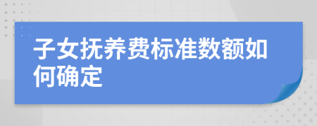 子女撫養(yǎng)費(fèi)標(biāo)準(zhǔn)數(shù)額如何確定
