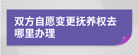雙方自愿變更撫養(yǎng)權(quán)去哪里辦理