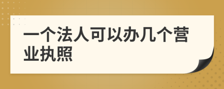 一個法人可以辦幾個營業(yè)執(zhí)照