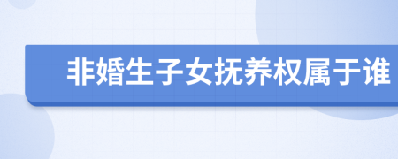 非婚生子女撫養(yǎng)權屬于誰