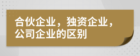 合伙企業(yè)，獨(dú)資企業(yè)，公司企業(yè)的區(qū)別