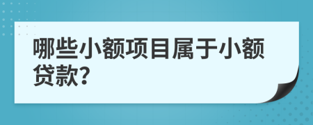 哪些小額項(xiàng)目屬于小額貸款？