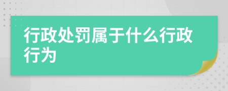 行政處罰屬于什么行政行為