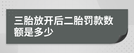 三胎放開(kāi)后二胎罰款數(shù)額是多少