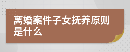 離婚案件子女撫養(yǎng)原則是什么