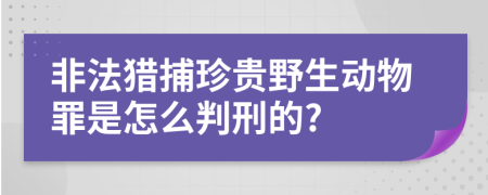 非法獵捕珍貴野生動物罪是怎么判刑的?