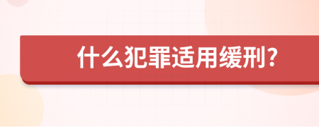 什么犯罪適用緩刑?