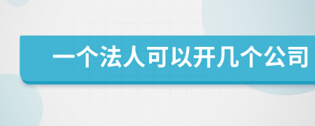 一個法人可以開幾個公司