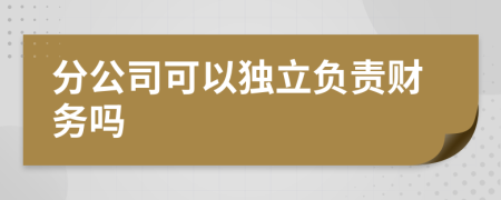 分公司可以獨(dú)立負(fù)責(zé)財(cái)務(wù)嗎