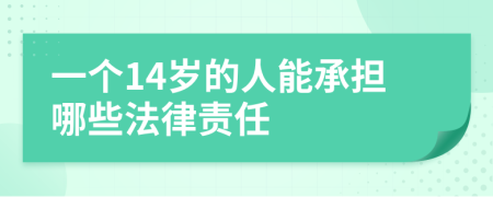 一個(gè)14歲的人能承擔(dān)哪些法律責(zé)任