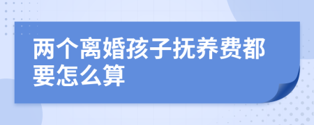 兩個離婚孩子撫養(yǎng)費(fèi)都要怎么算