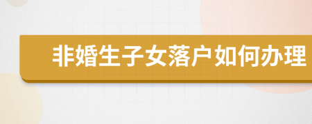 非婚生子女落戶如何辦理
