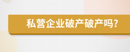 私營企業(yè)破產(chǎn)破產(chǎn)嗎?