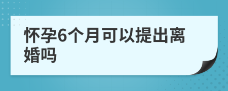 懷孕6個(gè)月可以提出離婚嗎