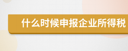 什么時候申報企業(yè)所得稅
