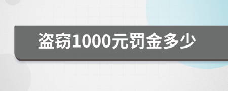 盜竊1000元罰金多少