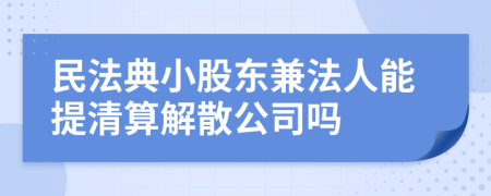 民法典小股東兼法人能提清算解散公司嗎