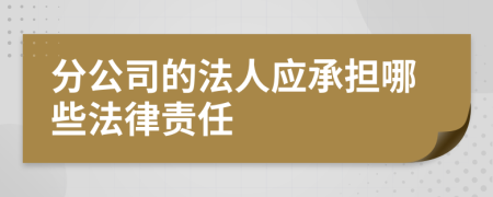 分公司的法人應(yīng)承擔(dān)哪些法律責(zé)任