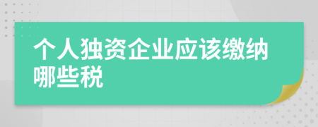 個(gè)人獨(dú)資企業(yè)應(yīng)該繳納哪些稅