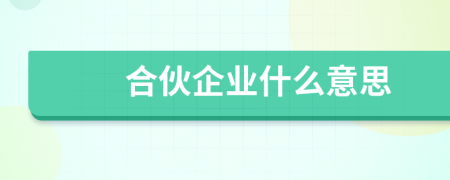 合伙企業(yè)什么意思