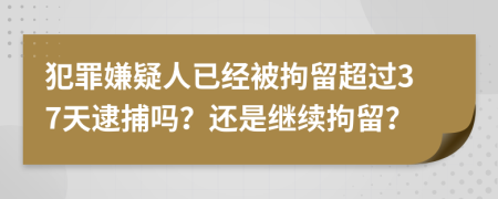 犯罪嫌疑人已經(jīng)被拘留超過37天逮捕嗎？還是繼續(xù)拘留？