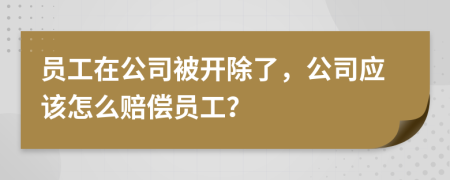 員工在公司被開(kāi)除了，公司應(yīng)該怎么賠償員工？