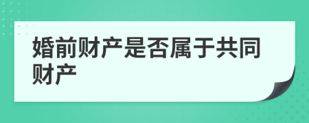 婚前財產(chǎn)是否屬于共同財產(chǎn)