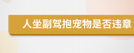 人坐副駕抱寵物是否違章