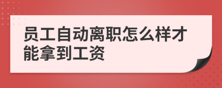 員工自動離職怎么樣才能拿到工資
