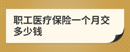 職工醫(yī)療保險(xiǎn)一個(gè)月交多少錢
