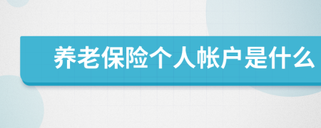 養(yǎng)老保險(xiǎn)個(gè)人帳戶是什么