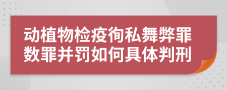 動植物檢疫徇私舞弊罪數(shù)罪并罰如何具體判刑
