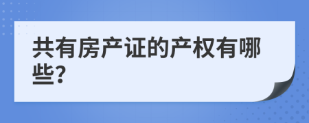 共有房產(chǎn)證的產(chǎn)權(quán)有哪些？