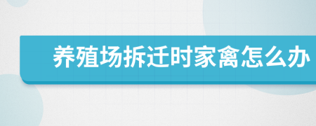 養(yǎng)殖場(chǎng)拆遷時(shí)家禽怎么辦