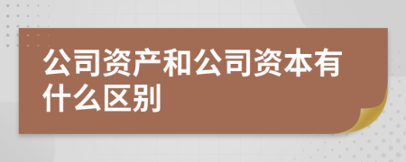 公司資產(chǎn)和公司資本有什么區(qū)別