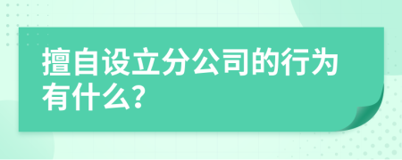 擅自設(shè)立分公司的行為有什么？