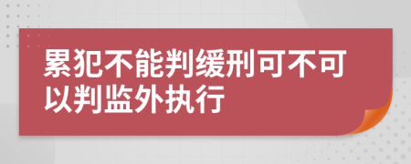 累犯不能判緩刑可不可以判監(jiān)外執(zhí)行