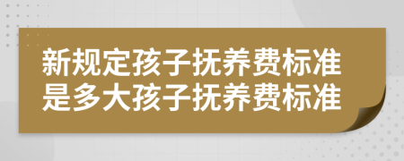 新規(guī)定孩子撫養(yǎng)費標準是多大孩子撫養(yǎng)費標準