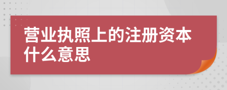 營業(yè)執(zhí)照上的注冊資本什么意思