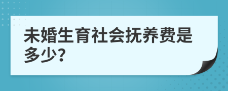 未婚生育社會(huì)撫養(yǎng)費(fèi)是多少？